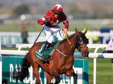 Tiger Roll unlikely to return at next year's Grand National