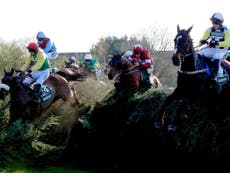 Punters vow never to bet on Grand National again after horse death