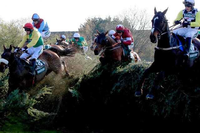 Horses faced 30 jumps during the Grand National, at which Up For Review was killed when he fell on his neck