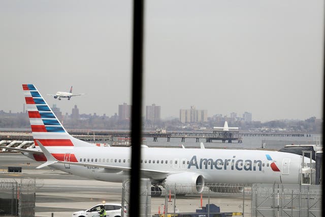 File image of American Airlines Boeing 737 Max 8 plane.