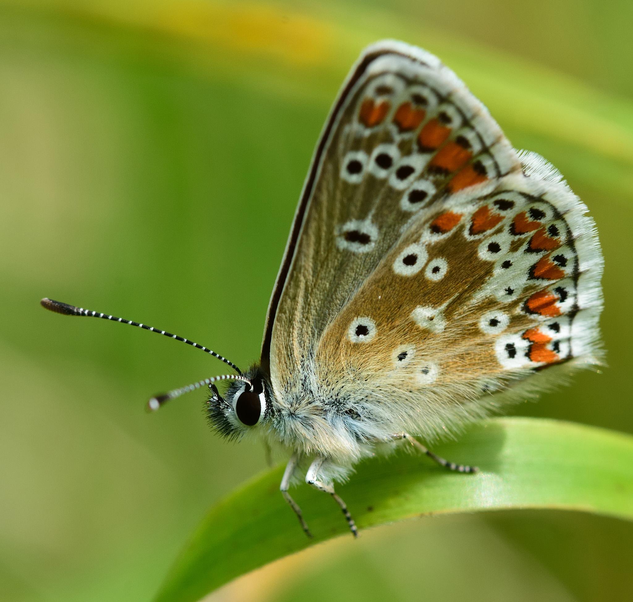 Population dropped 15% in 2018