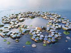 Plans for sustainable floating cities of the future