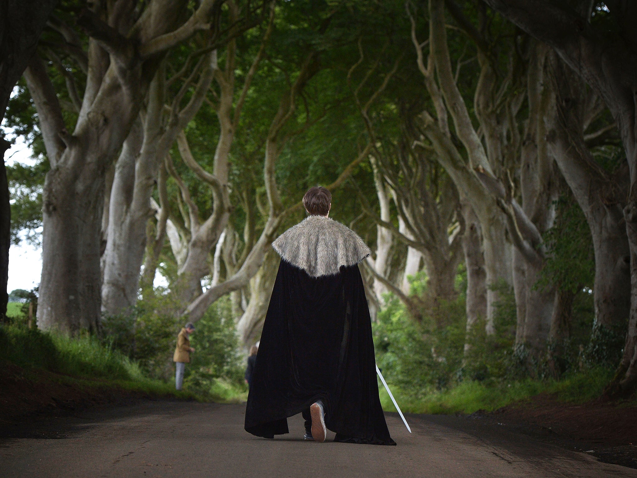 Well trodden: The Dark Hedges in Ballymoney which was the site of The Kingsroad (Getty)