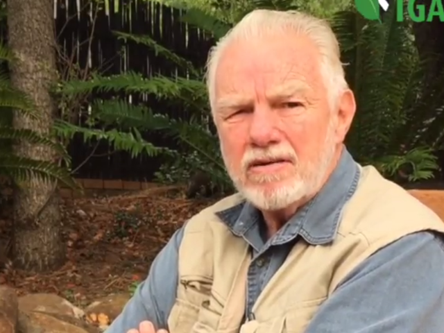 Ron Thomson, who has killed thousands of animals, says shooting elephants helps their populations thrive