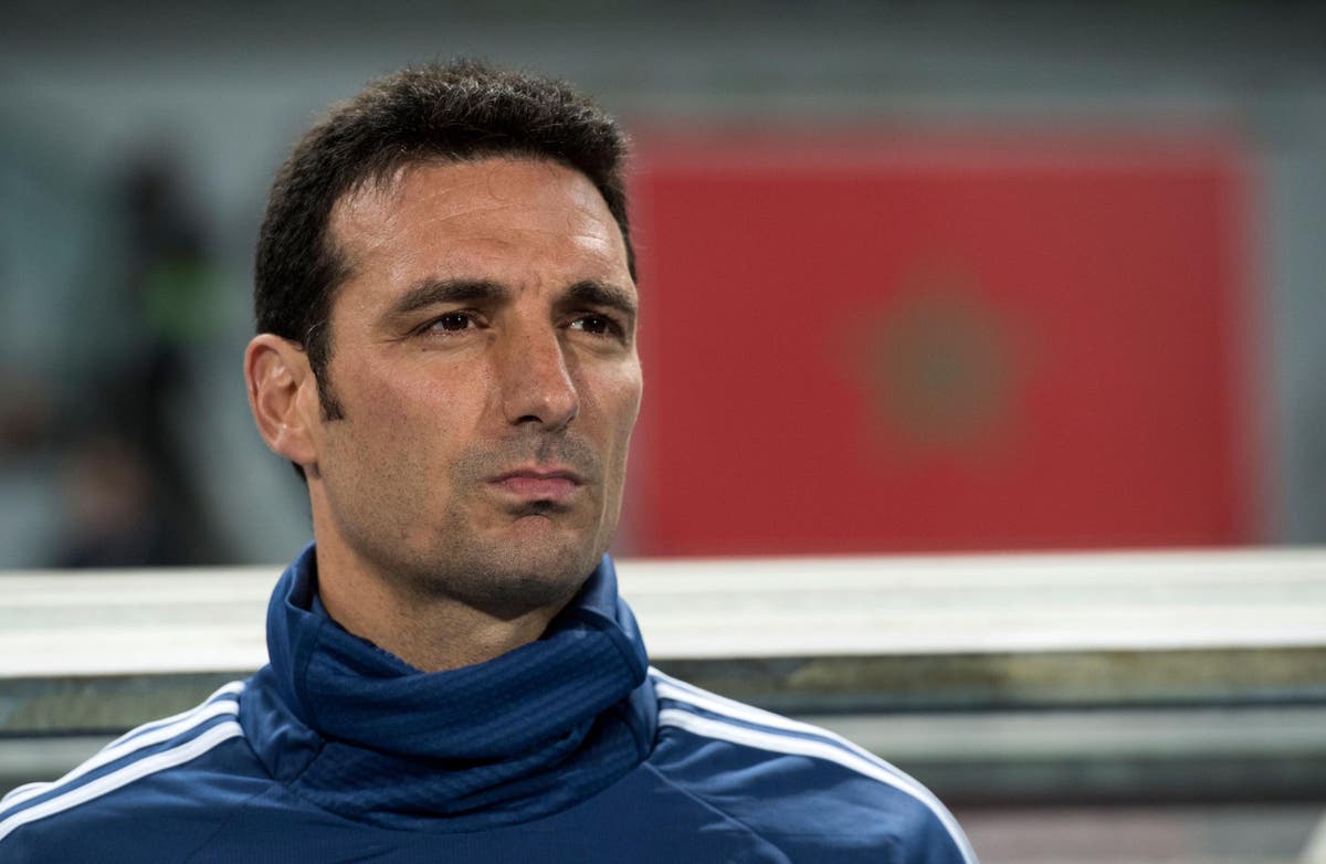 Argentina coach Lionel Scaloni hospitalised after being hit by a car while cycling in Mallorca