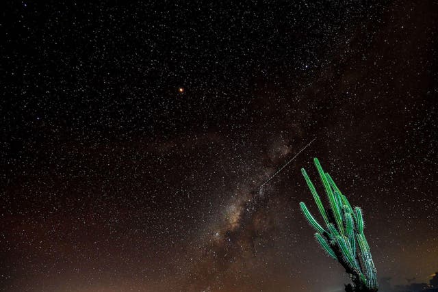 View of a prickly pear and the Milky Way in the sky over the Tatacoa Desert, in the department of Huila, Colombia, on October 11, 2018