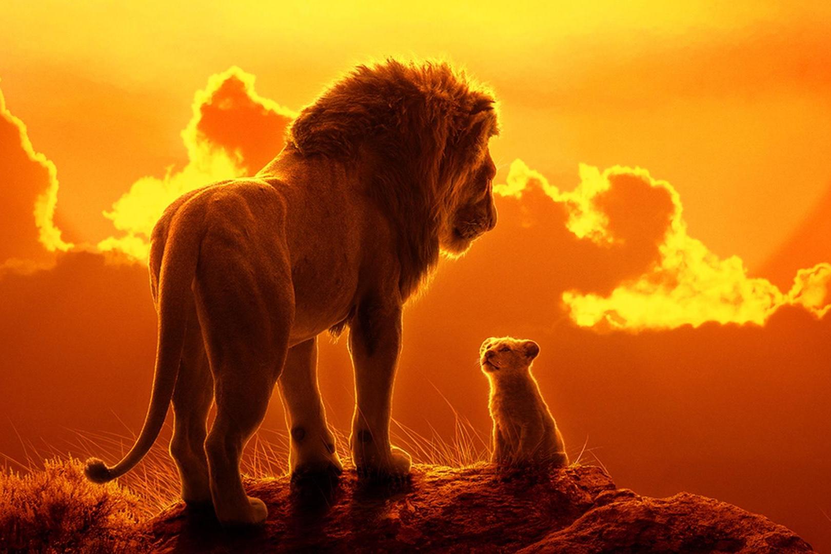 Who plays simba in the new lion king