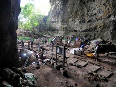 New species of 4ft ancient human discovered in Philippines cave