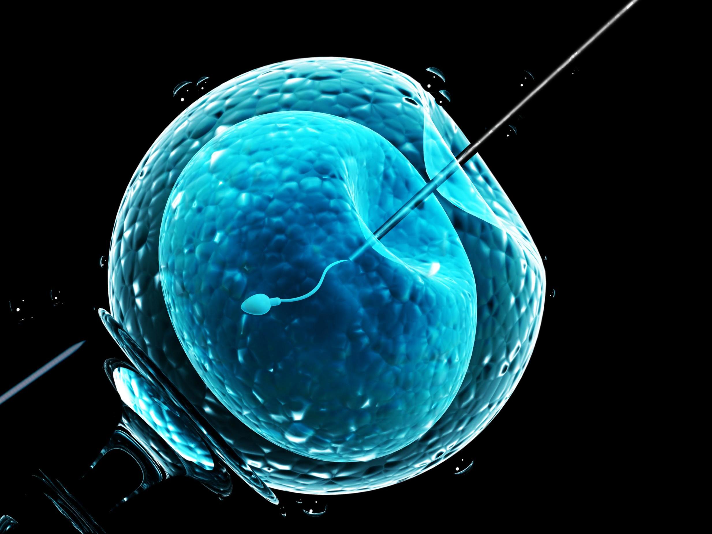 Ivf Cost In India