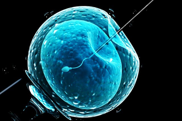 ICSI injects a single sperm directly into an egg to overcome male fertility issues like low sperm count or poor sperm mobility