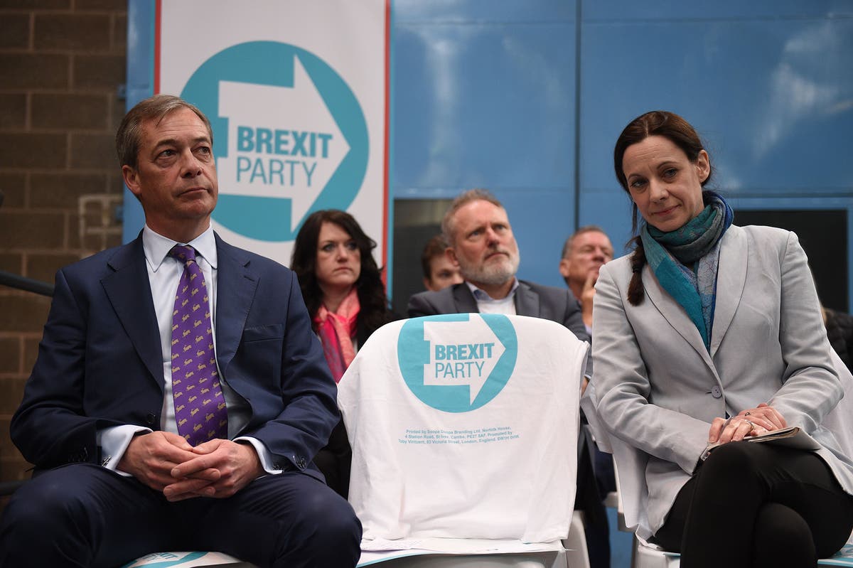 Jacob Rees-Mogg's sister to stand for Nigel Farage's Brexit Party in EU elections