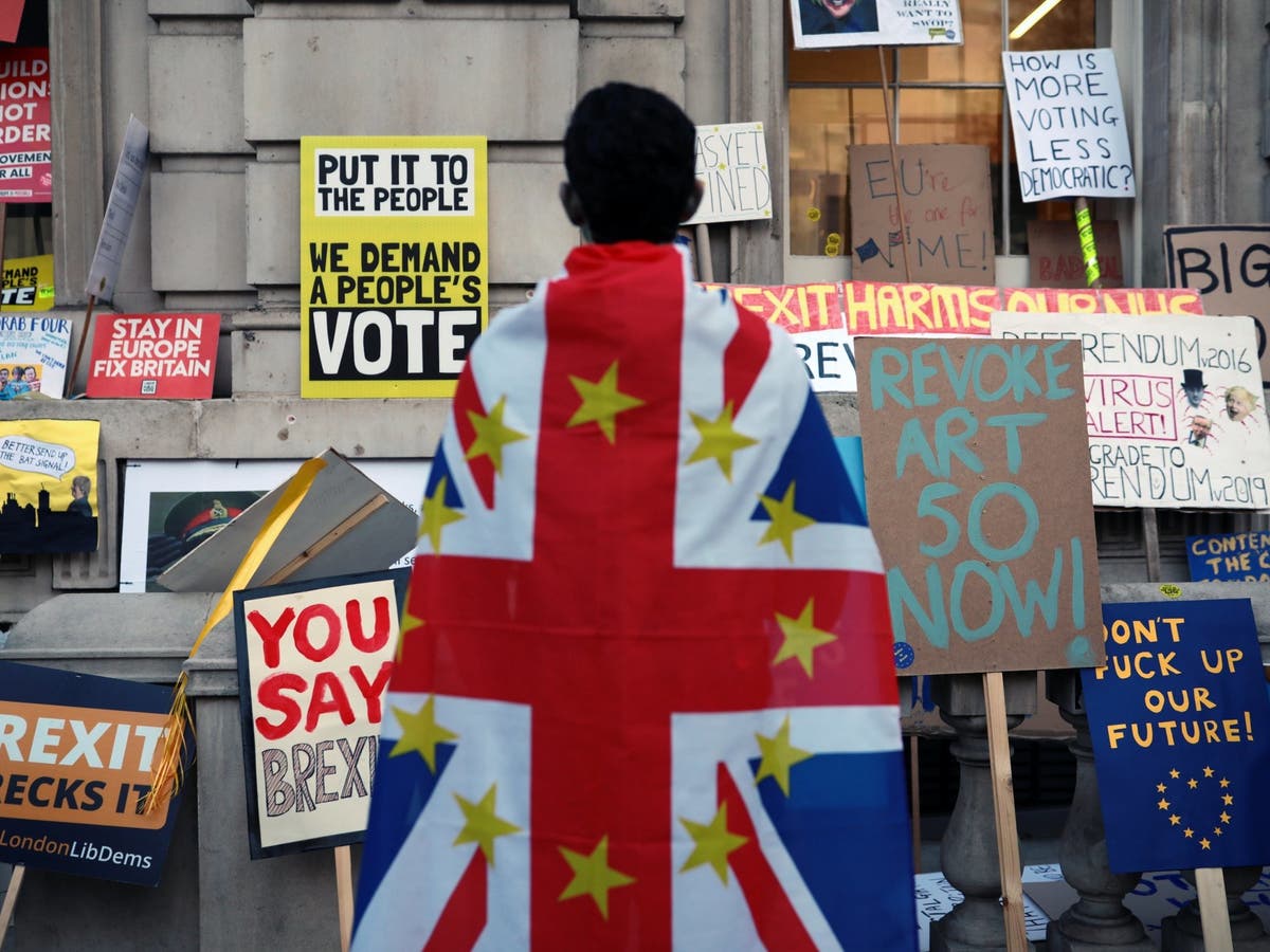 Brexit march: UK-wide push for Final Say to culminate in major London rally two weeks before exit deadline