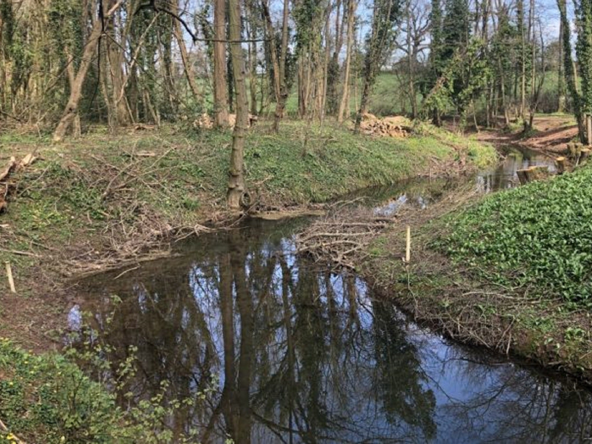 An unnamed tributary of the River Chew in Somerset has returned more than 60 years after it dried up