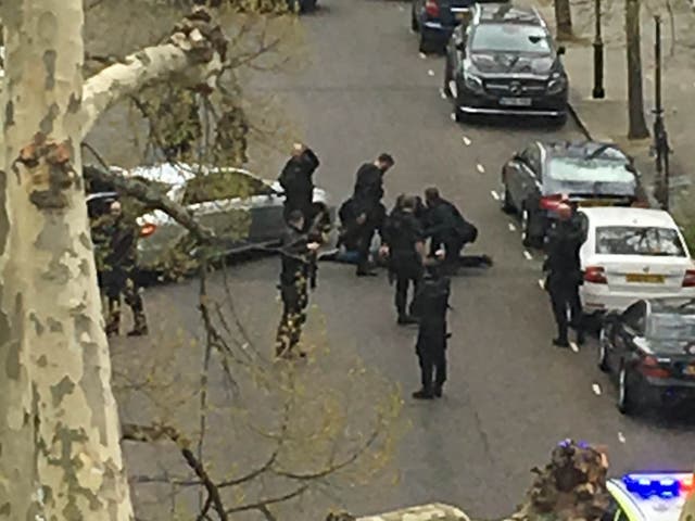 Police apprehend a suspect near the Ukrainian Embassy in Holland Park, west London