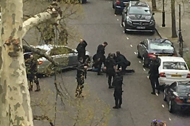 Police apprehend a suspect near the Ukrainian Embassy in Holland Park, west London