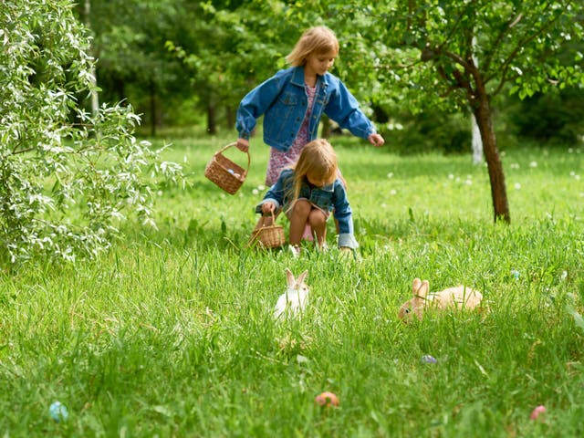 Two sisters finding Easter eggs in grass when they walking in the park