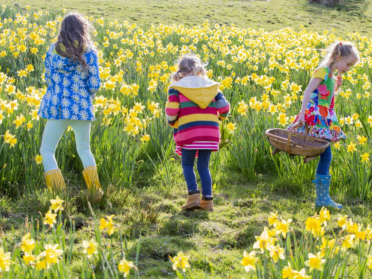 UK weather forecast Temperatures to enter 20s by Easter bank holiday