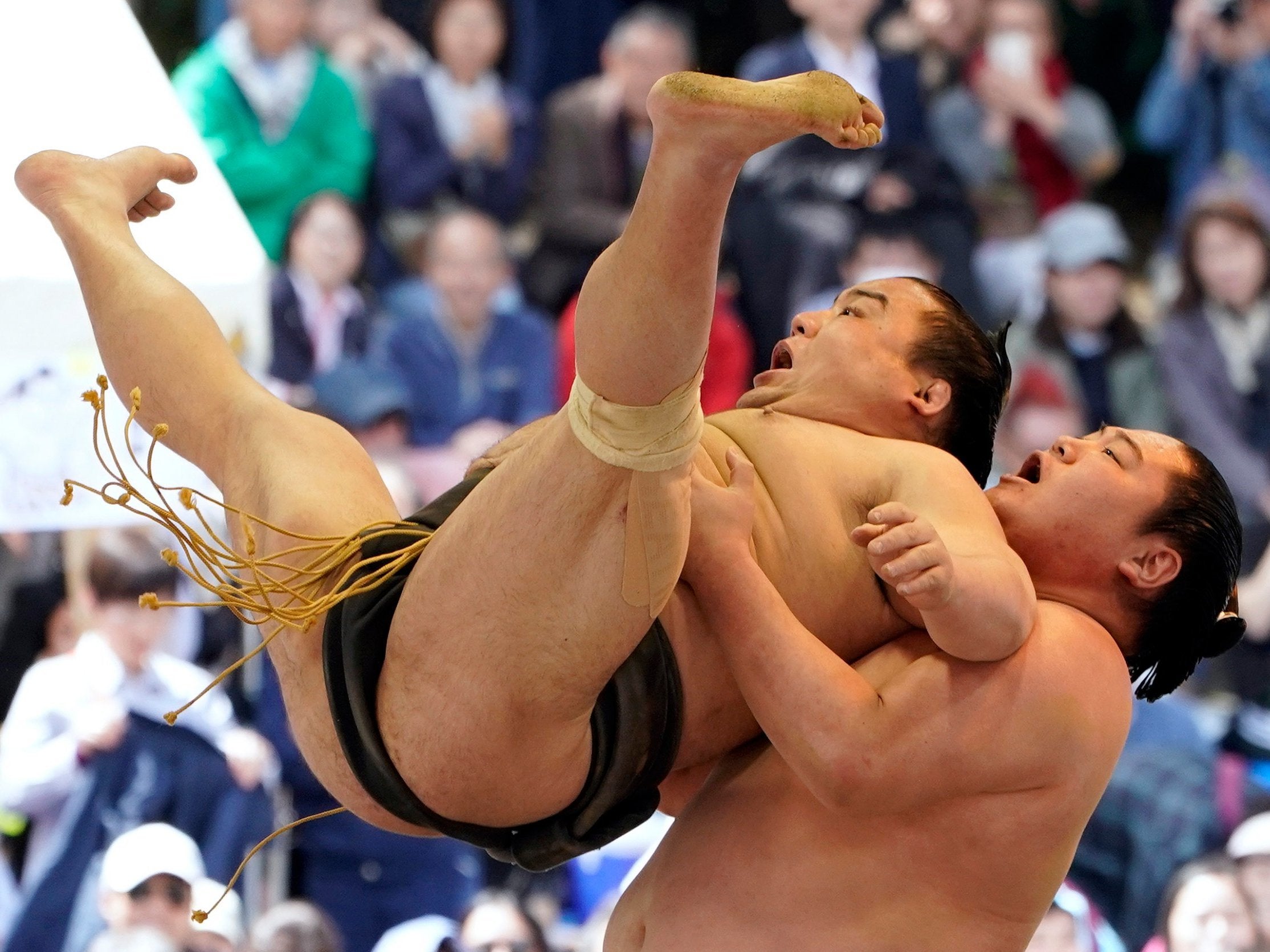 Sumo wrestlers take part in a ceremonial tournament in Tokyo