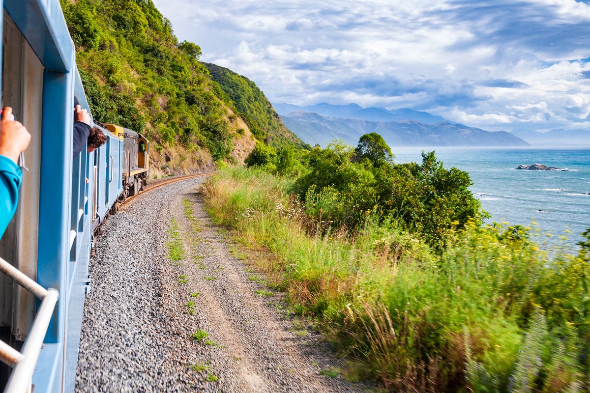 Train forced to close outdoor carriage after tourists take death-defying selfies