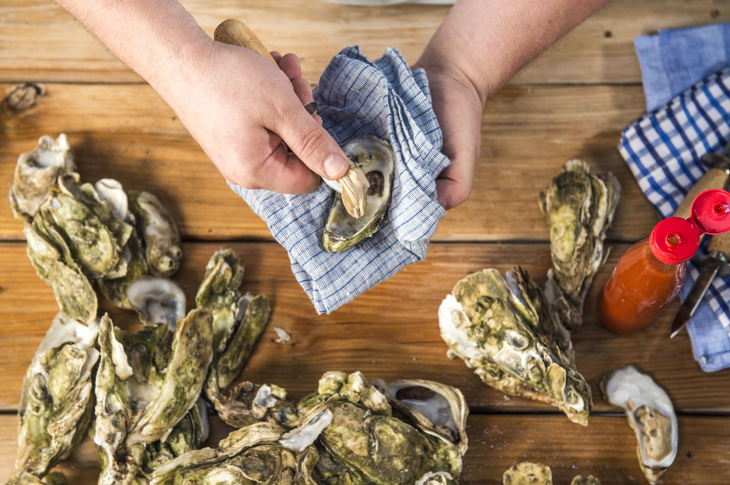 An oyster roast in Charleston