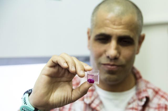 Tal Dvir holds a 3D printed heart made from human tissue in his laboratory at Tel Aviv University