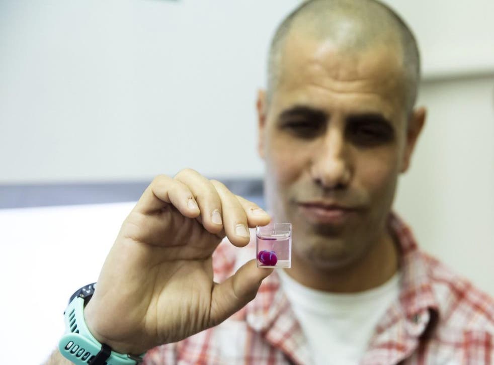 Tal Dvir holds a 3D printed heart made from human tissue in his laboratory at Tel Aviv University