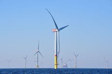 Denmark sets record by sourcing nearly half its power from wind energy