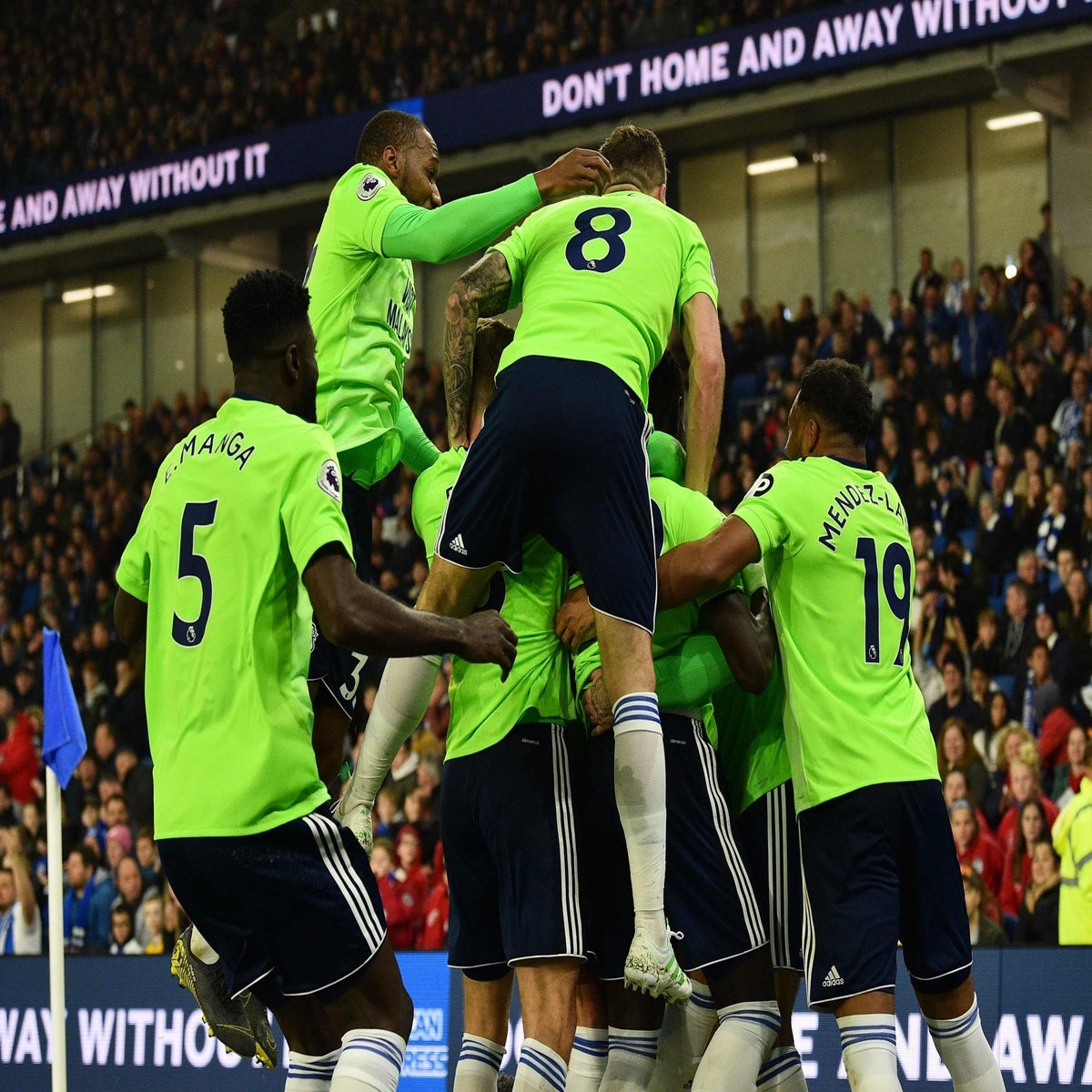 Cardiff City 2-0 Bristol City: Bluebirds ease relegation fears