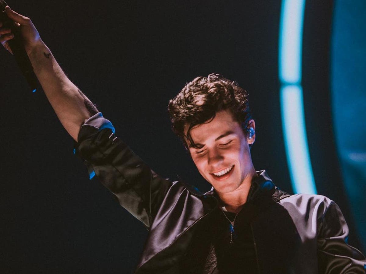 Shawn Mendes review, 02 Arena London: Two stars with talent found wanting