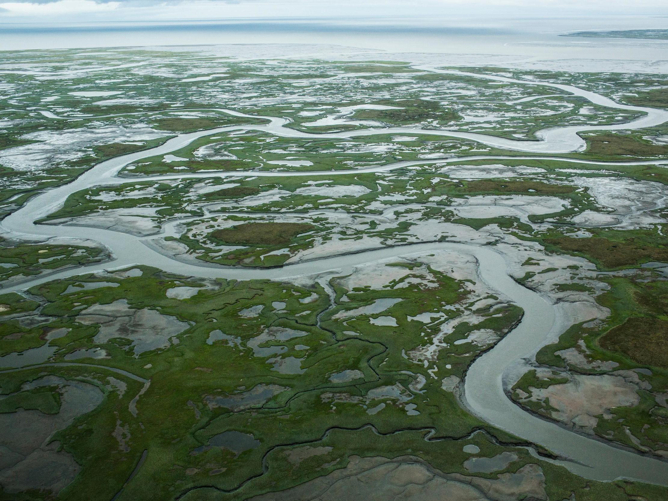 Melting permafrost in Alaska caused by rising global temperatures.