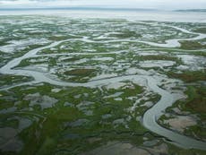 Arctic permafrost now melting at levels not expected until 2090