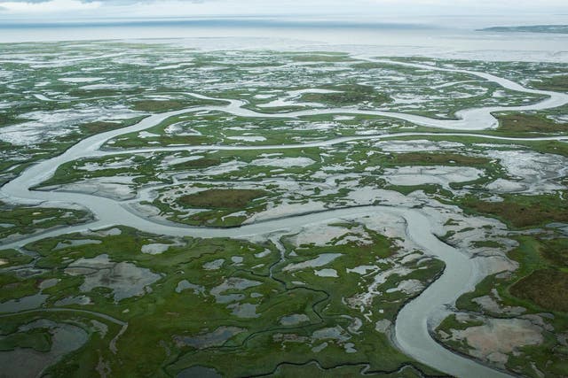 Melting permafrost in Alaska caused by rising global temperatures.