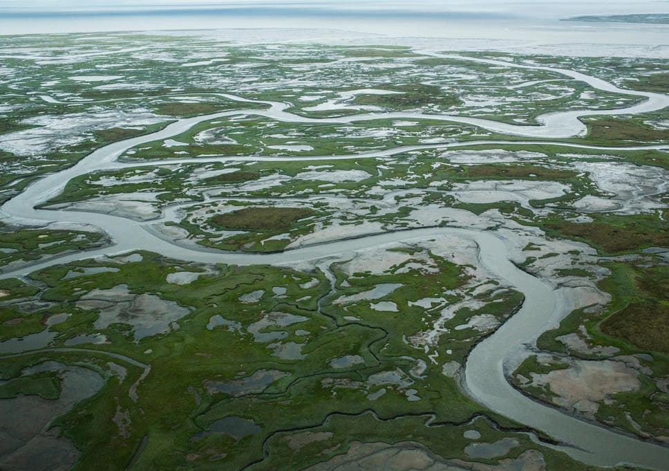 Melting permafrost in Alaska caused by rising global temperatures.