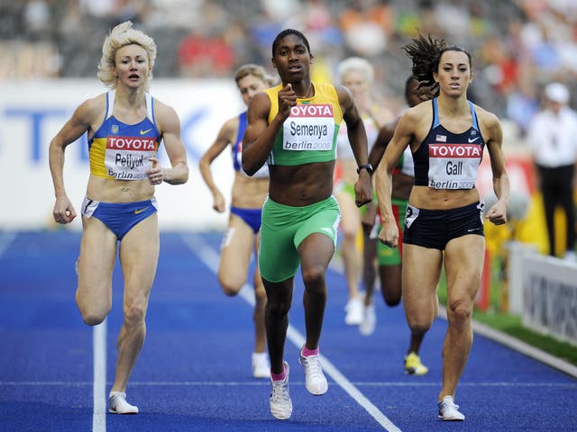 South Africa's Caster Semenya competes in the 2009 IAAF Athletics World Championships