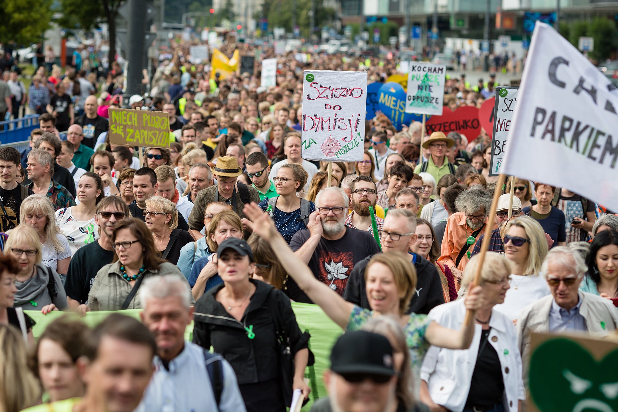 Standing tall: a 2017 Warsaw demonstration against logging in Bialowieza