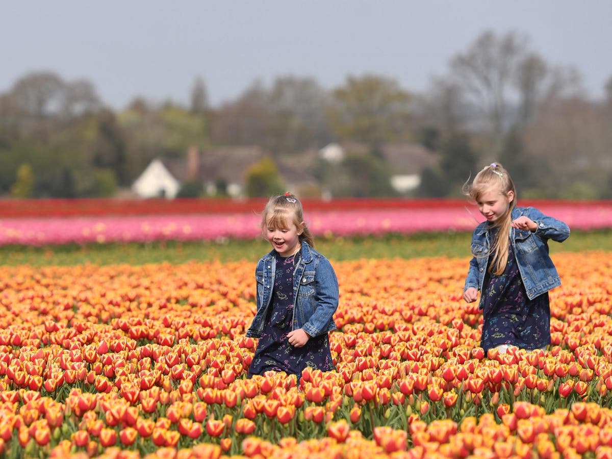 UK weather forecast: Met Office says Easter weekend will be hotter than Canary Islands