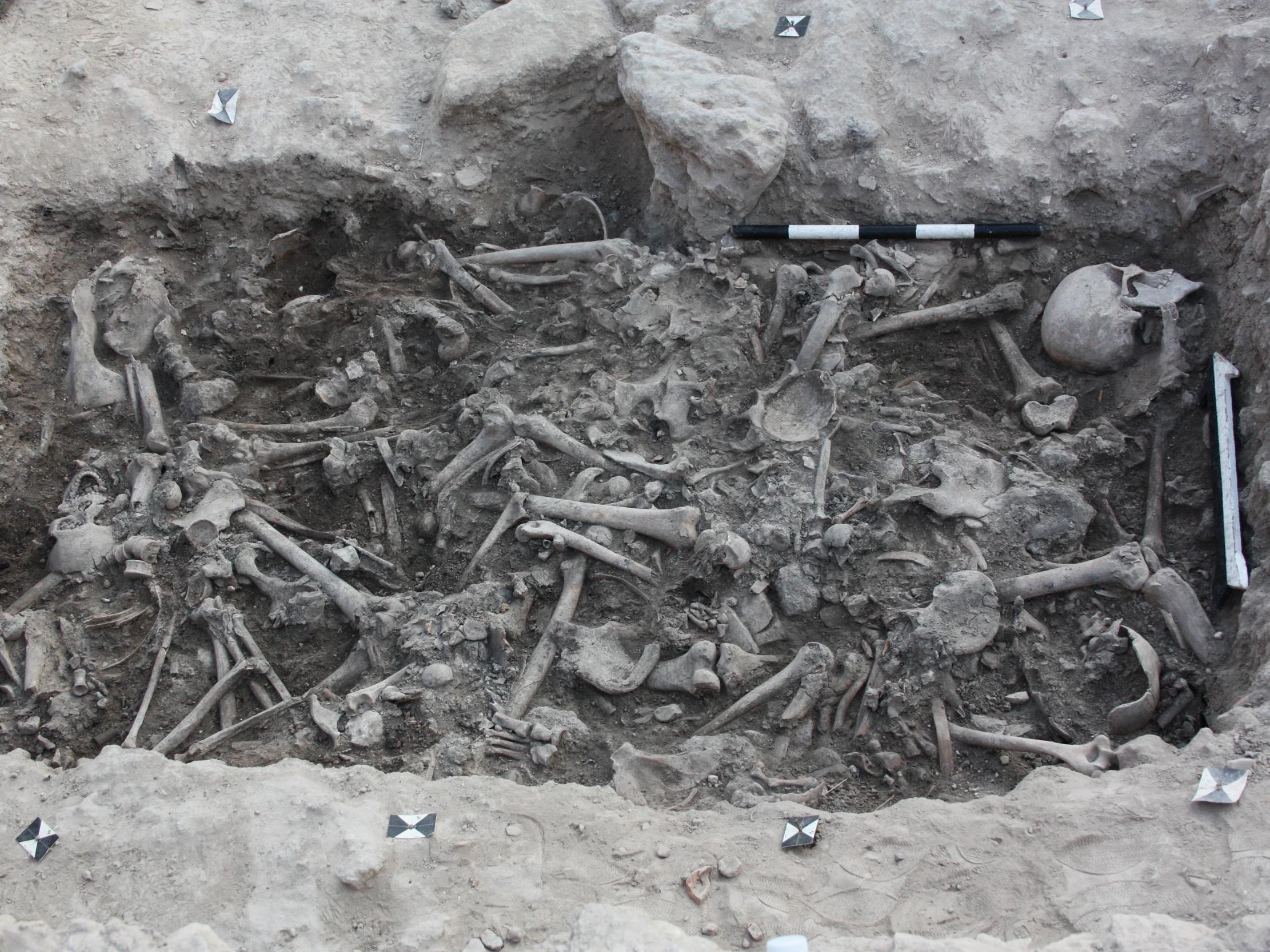 The bones of Crusaders found in a burial pit in Sidon, Lebanon