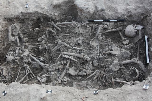The bones of Crusaders found in a burial pit in Sidon, Lebanon