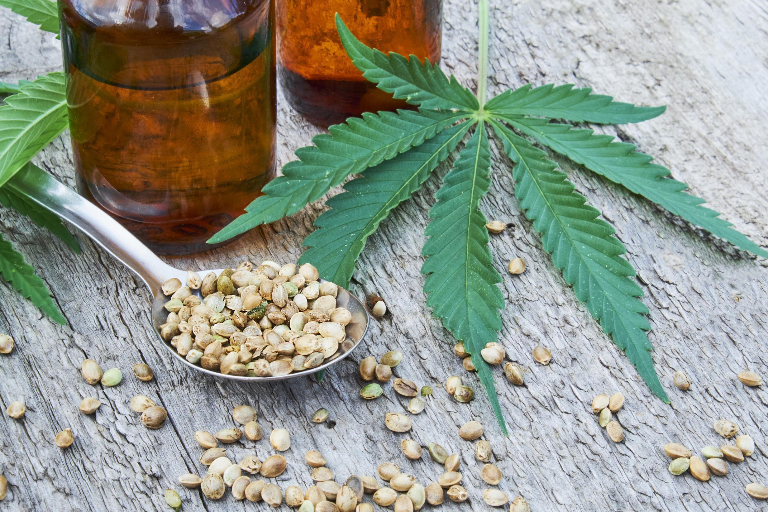 CBD products launched in 2019