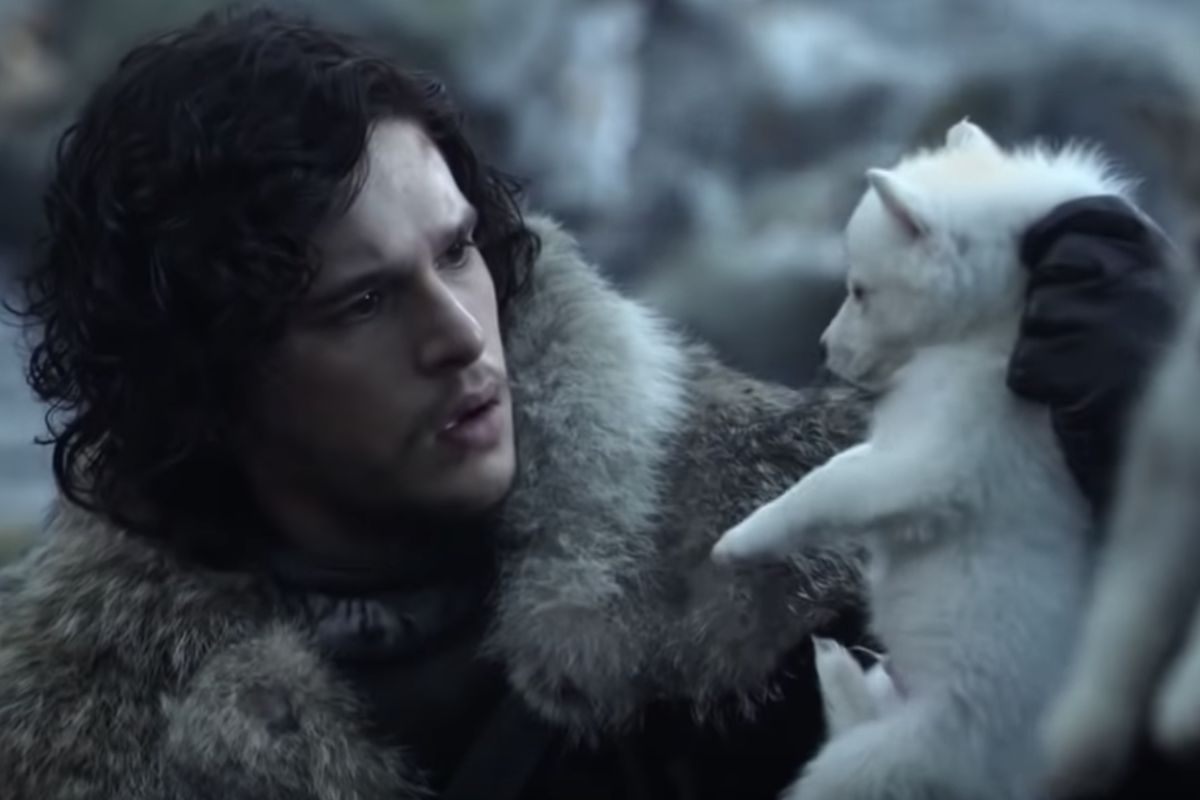 Where is Ghost? Game of Thrones fans demand to know where Jon Snow's direwolf is