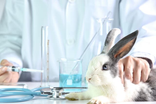 An estimated half a million animals are still used in tests for personal grooming products worldwide