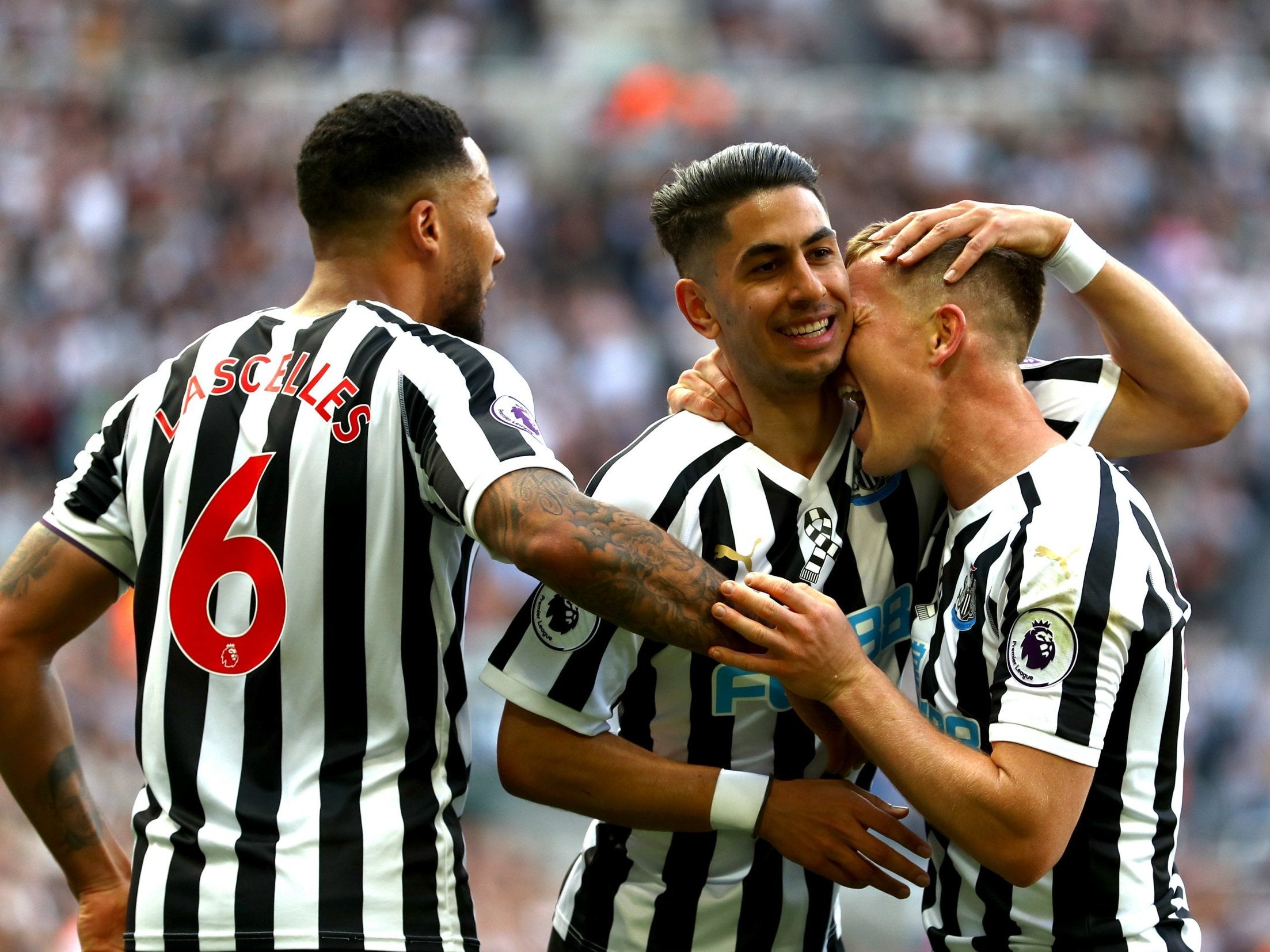 Image result for newcastle united