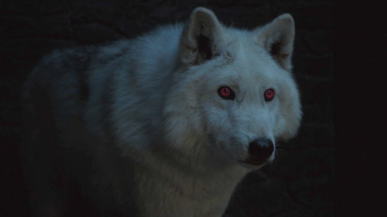 Game Of Thrones Season 8 Where Is Ghost Fans Relieved After Jon