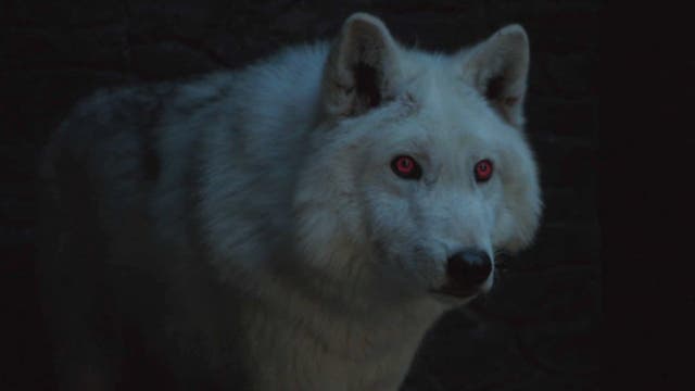 Ghost in Game of Thrones