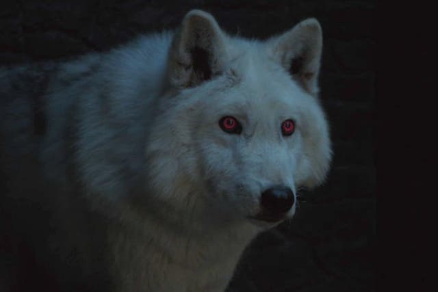 Ghost in Game of Thrones