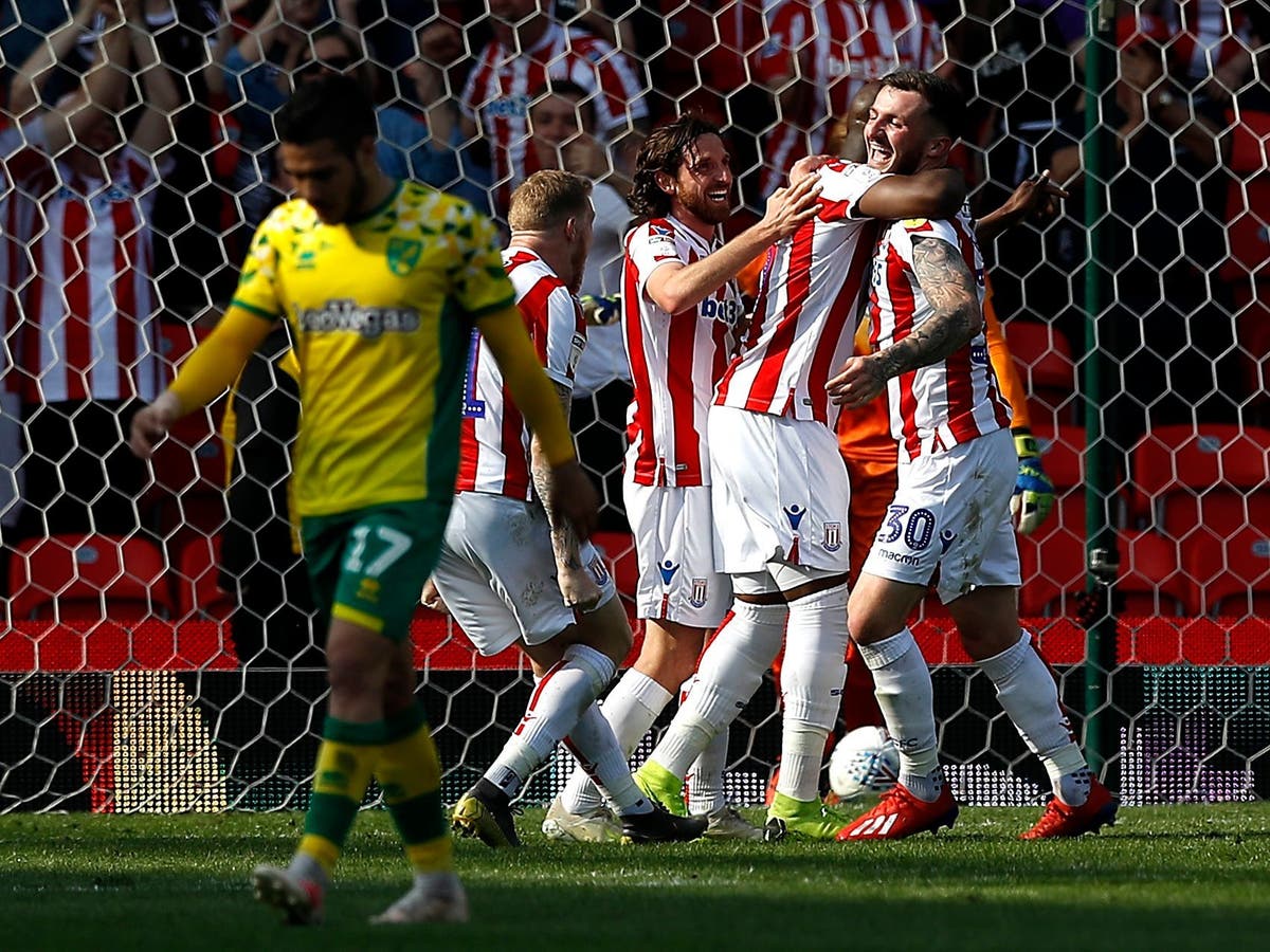 Norwich made to wait for Premier League promotion after entertaining draw at Stoke