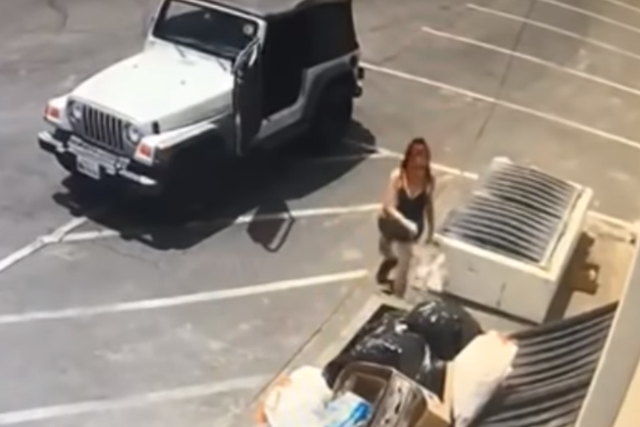 The woman is caught on camera tossing the bag containing the pups onto a waste container