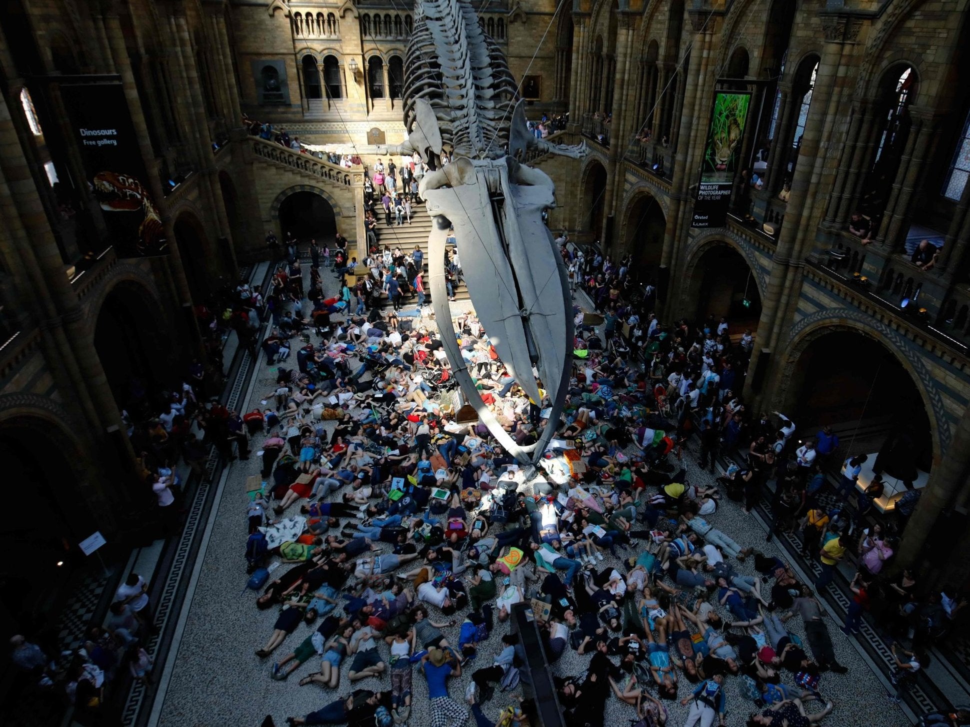 Extinction Rebellion climate change activists perform a mass "die in" under the blue whale at the Natural History Museum