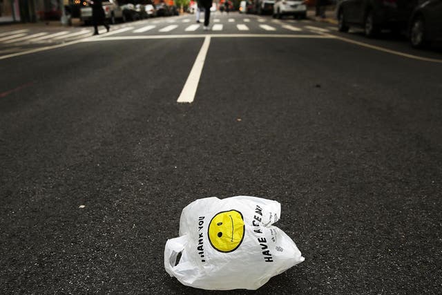 Most plastic bags are banned in New York, however, the people of the city will be charged a five cent tax for use of paper substitutes.