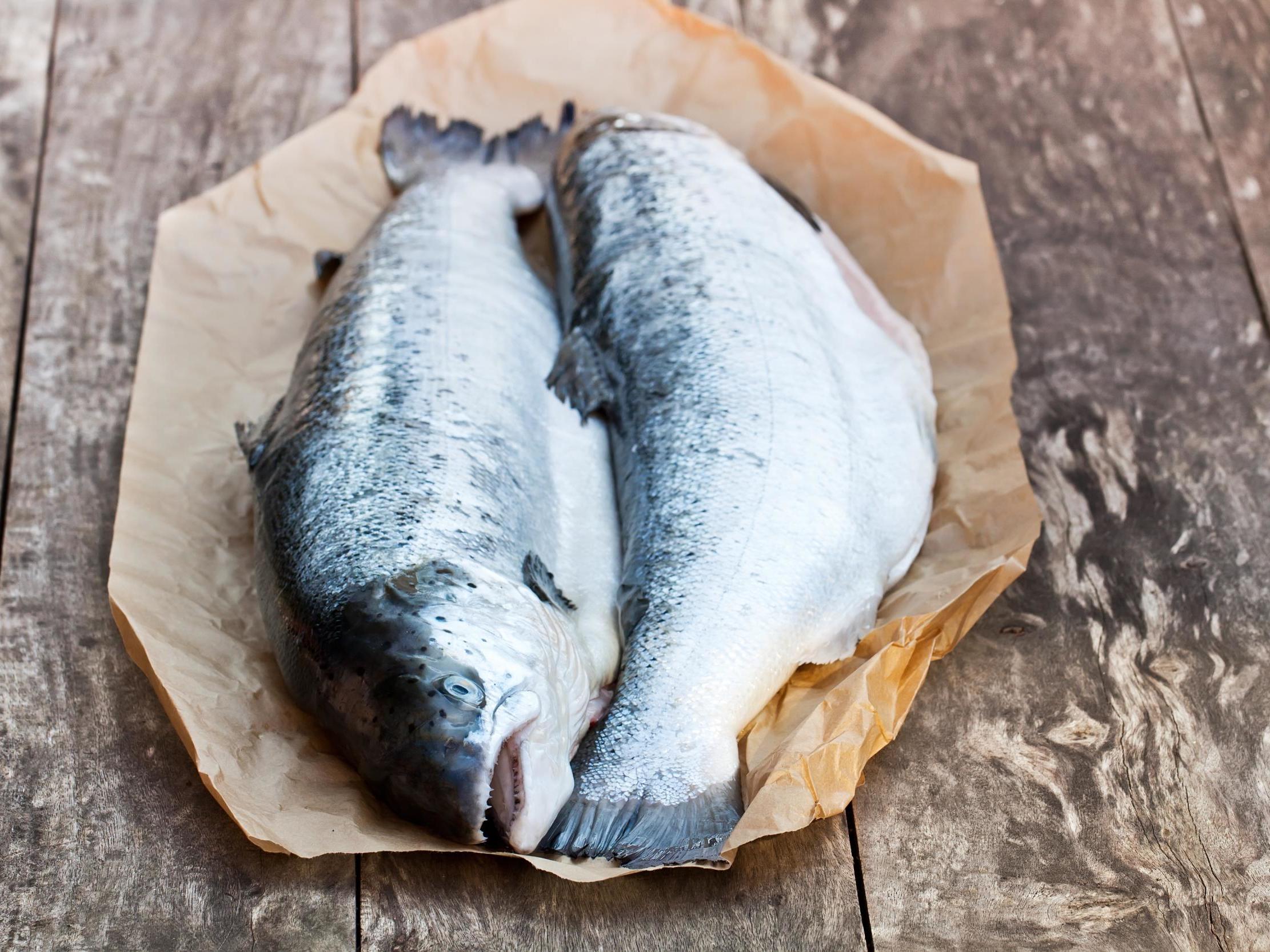 Wild Scottish salmon has been off the menu since December 2018 when the country's last netting station closed down due to lack of fish